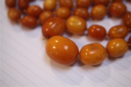 A single strand graduated oval amber bead necklace, 82cm.